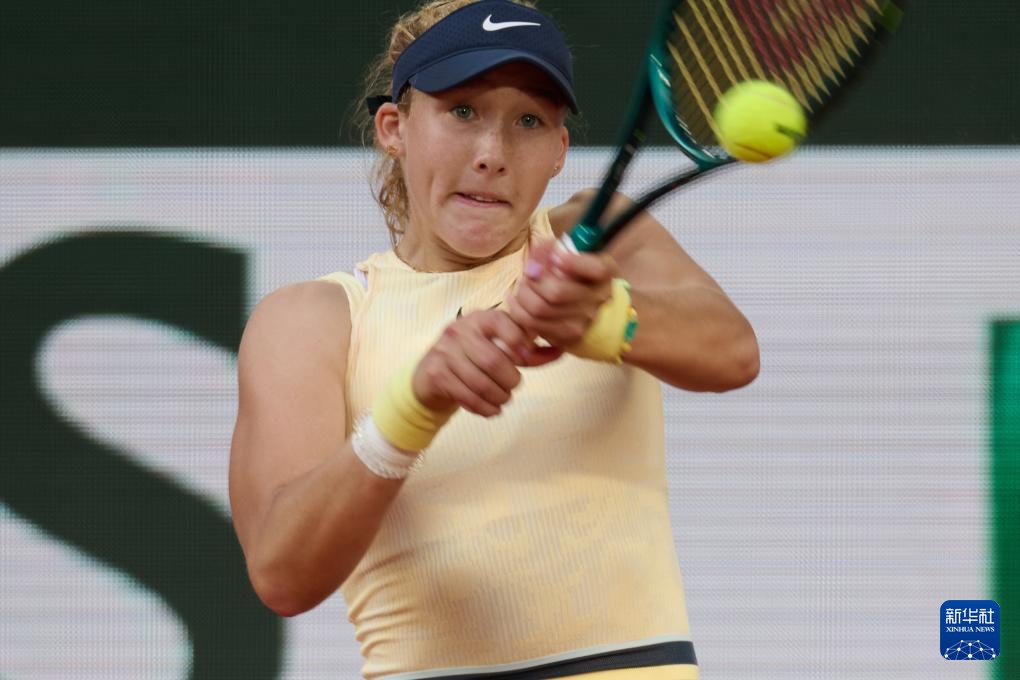 其他参与欧 其他参与欧