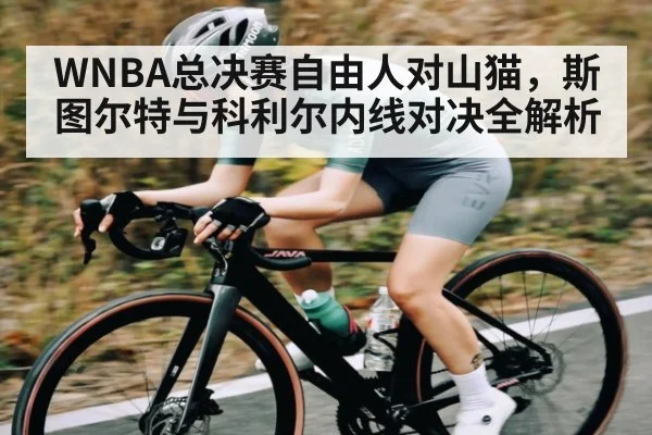WNBA总决赛自由人对山猫，斯图尔特与科利尔内线对决全解析