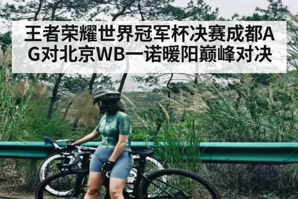 王者荣耀世界冠军杯决赛成都AG对北京WB一诺暖阳巅峰对决